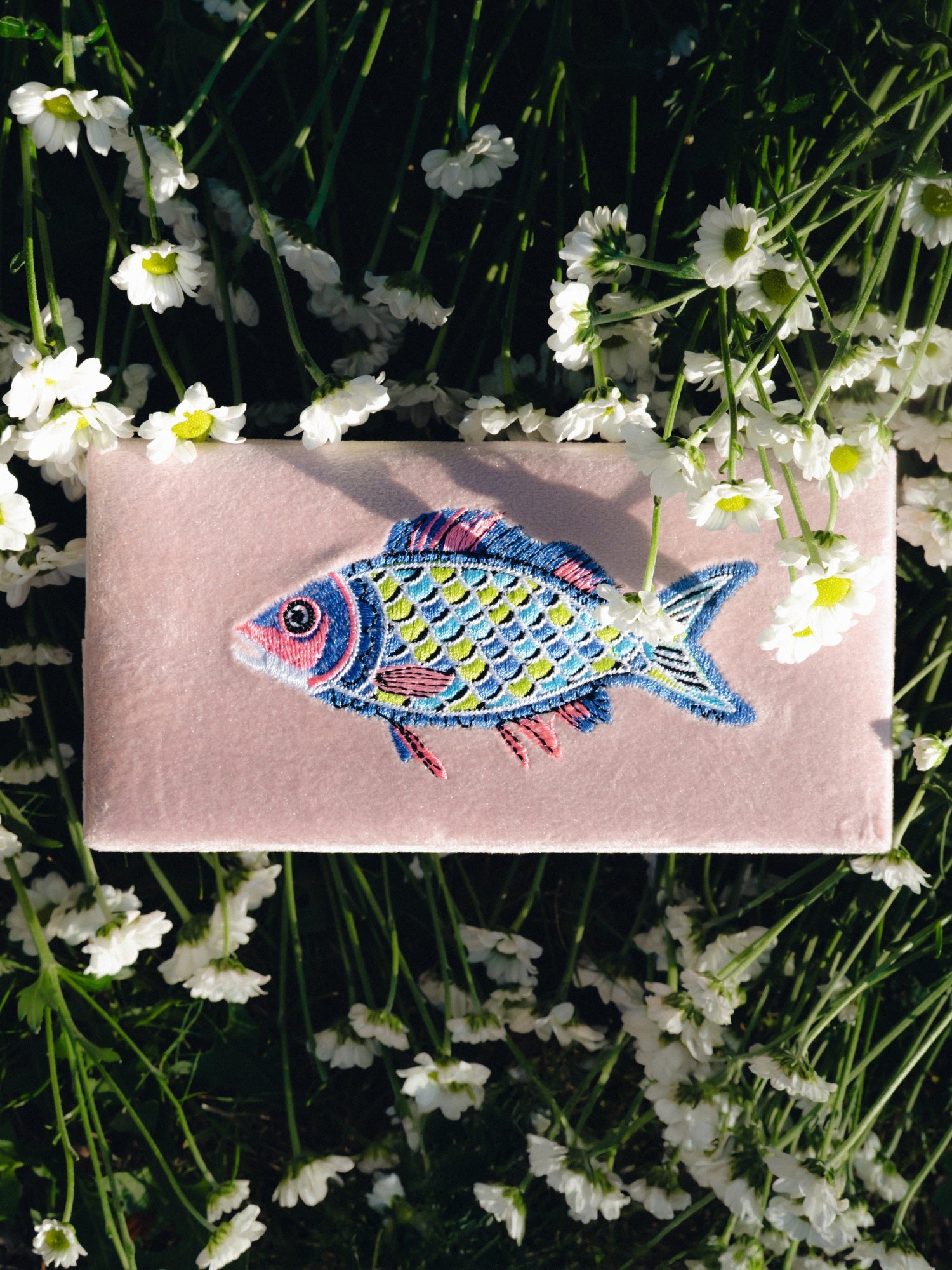 Schmuckkästchen – ein dösiges Fischlein